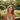 Woman sitting on a bench in a garden with flowers, smiling at the camera.